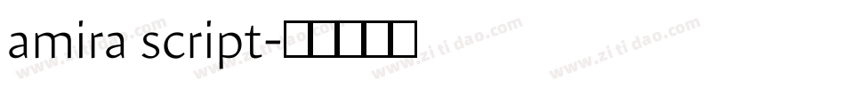 amira script字体转换